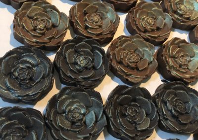 Chocolate Succulents