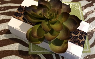 Whimsically Creative Chocolates